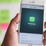Cara Cek History Whatsapp Yang Sudah Dihapus